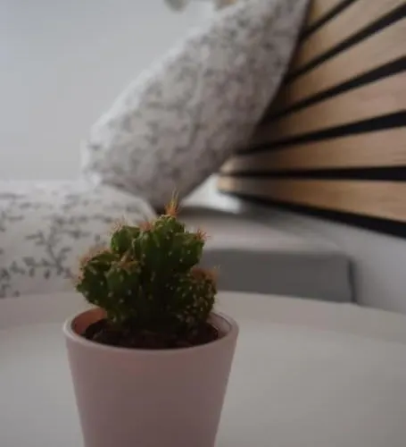 Inmejorable Cerca Estacion Delicias Con Garaje 아파트